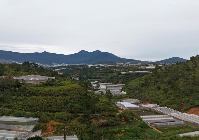 SUẤT ĐẦU TƯ HIẾM – 611m² P7 ĐÀ LẠT VIEW SĂN MÂY – HOÀNG HÔN ĐỈNH CAO – GIÁ 14,9 TỶ