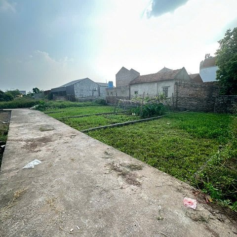 CHÍNH CHỦ GỬI  BÁN LÔ ĐẤT THỰC TRẠNG 55M² – PHÚ MỸ, THƯ PHÚ, THƯỜNG TÍN