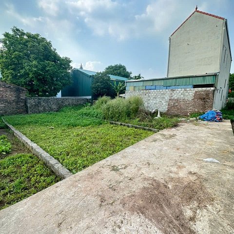 CHÍNH CHỦ GỬI  BÁN LÔ ĐẤT THỰC TRẠNG 55M² – PHÚ MỸ, THƯ PHÚ, THƯỜNG TÍN