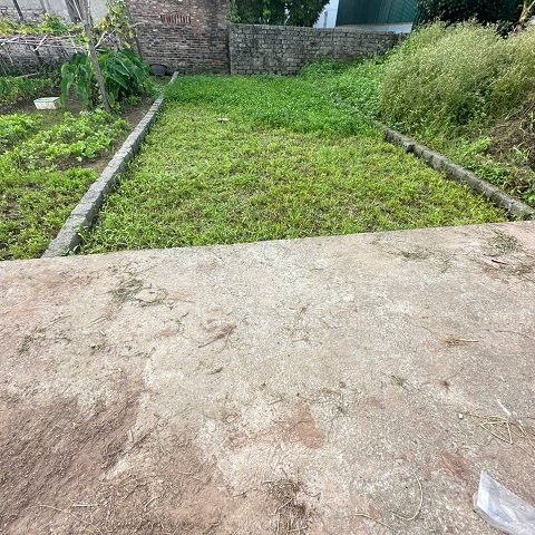 CHÍNH CHỦ GỬI  BÁN LÔ ĐẤT THỰC TRẠNG 55M² – PHÚ MỸ, THƯ PHÚ, THƯỜNG TÍN