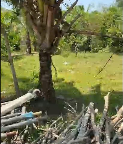 CHÍNH CHỦ BÁN LÔ ĐẤT GIÁ CHỈ 600 TRIỆU – ẤP BẾN TRÀM, CỬA DƯƠNG, PHÚ QUỐC