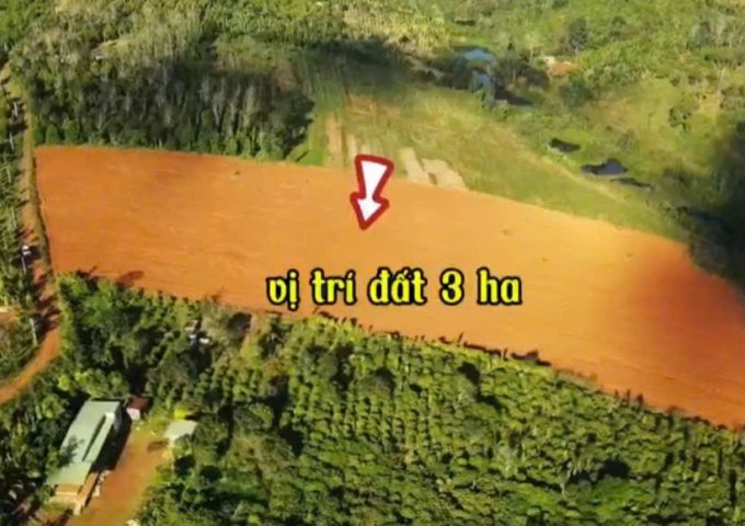 HÀNG HIẾM – LÔ ĐẤT 28.327,6 m² (gần 2,83 ha) ĐẸP KHÓ TÌM