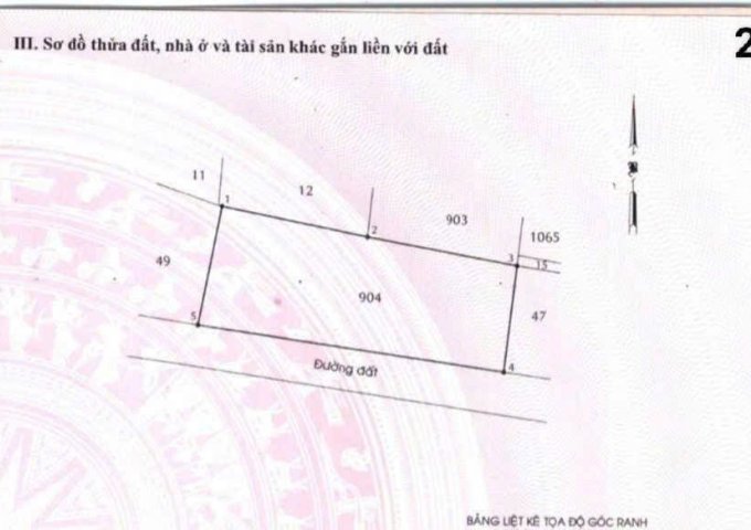 ĐẤT LÚA QUY HOẠCH KDC ĐƯỜNG 7M BÀ ĐIỂM MỚI MT RỘNG – QUỸ ĐẤT KHỦNG CHỈ 12TR/M²