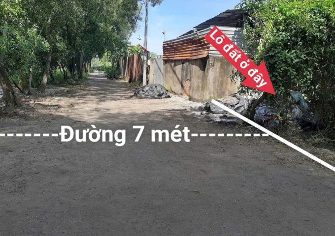 ĐẤT LÚA QUY HOẠCH KDC ĐƯỜNG 7M BÀ ĐIỂM MỚI MT RỘNG – QUỸ ĐẤT KHỦNG CHỈ 12TR/M²