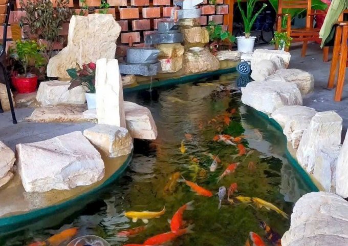 CCG – XUÂN THỚI THƯỢNG, HÓC MÔN - LÔ GÓC 2MT SIÊU ĐẸP – VỊ TRÍ VÀNG KD ĐỈNH CAO!