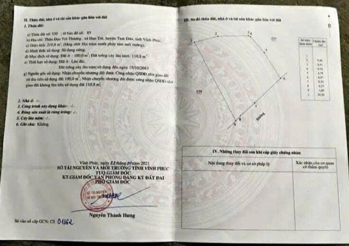 CHÍNH CHỦ CẦN BÁN/CHO THUÊ NHÀ ĐẤT TẠI ĐẠO TRÙ – TAM ĐẢO