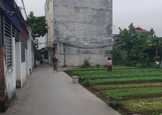 Chính chủ cần bán bạt đất có 102 phù hợp chia xây nhà kinh doanh, biệt thự