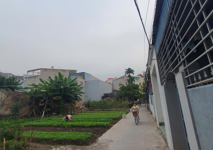 Chính chủ cần bán bạt đất có 102 phù hợp chia xây nhà kinh doanh, biệt thự