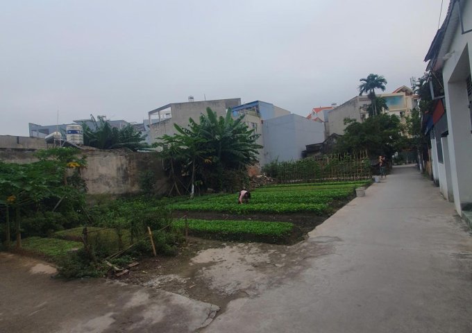 Chính chủ cần bán bạt đất có 102 phù hợp chia xây nhà kinh doanh, biệt thự