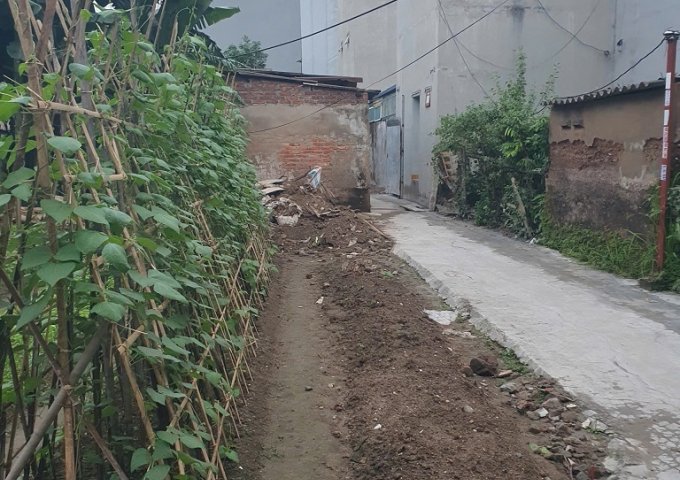 Chính chủ cần bán bạt đất có 102 phù hợp chia xây nhà kinh doanh, biệt thự