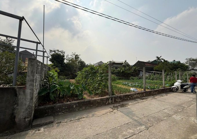 CHÍNH CHỦ BÁN ĐẤT THỔ CƯ XÃ YÊN PHƯƠNG, HUYỆN Ý YÊN, TỈNH NAM ĐỊNH