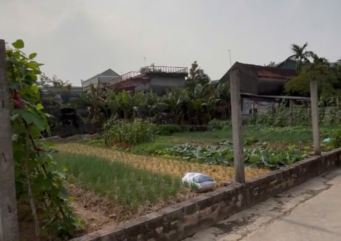 CHÍNH CHỦ BÁN ĐẤT THỔ CƯ XÃ YÊN PHƯƠNG, HUYỆN Ý YÊN, TỈNH NAM ĐỊNH