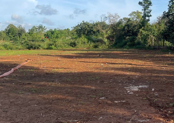 CHÍNH CHỦ CẦN BÁN LÔ ĐẤT NỀN CƯ SUÊ – CƯ M’GAR, ĐẮK LẮK  GIÁ 400 TRIỆU