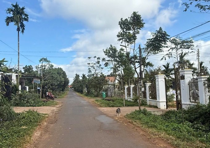 BÁN ĐẤT MẶT TIỀN NGUYỄN XUÂN NGUYÊN – 3 LÔ ĐẸP, HÀNG HIẾM