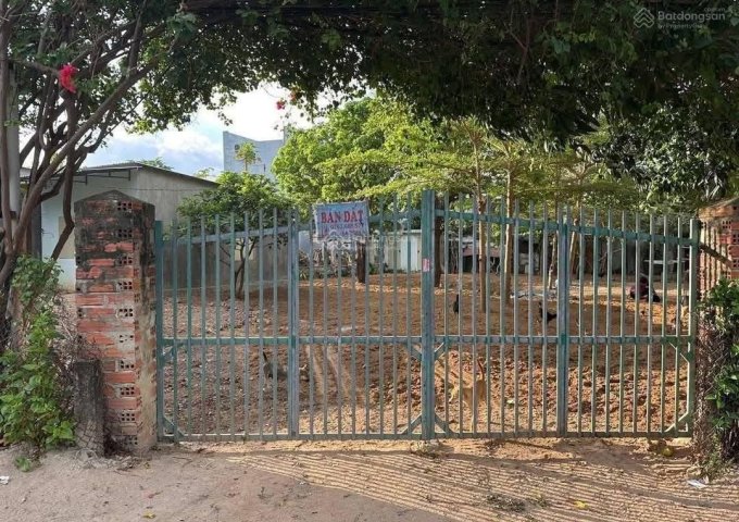 CHÍNH CHỦ BÁN ĐẤT MẶT TIỀN TL 639 – CÁT TIẾN – PHÙ CÁT