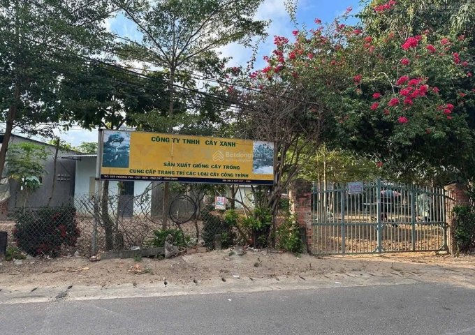 CHÍNH CHỦ BÁN ĐẤT MẶT TIỀN TL 639 – CÁT TIẾN – PHÙ CÁT