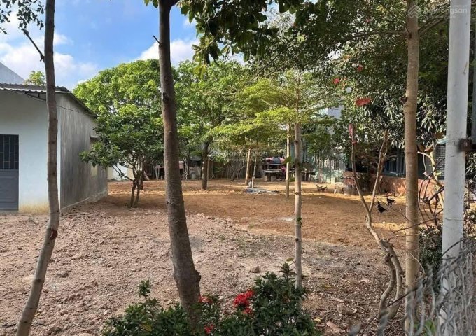 CHÍNH CHỦ BÁN ĐẤT MẶT TIỀN TL 639 – CÁT TIẾN – PHÙ CÁT