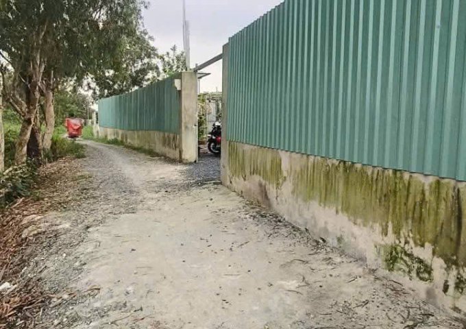 CHÍNH CHỦ BÁN VƯỜN CÂY ĂN TRÁI NGHỈ DƯỠNG – THỚI TAM THÔN, HÓC MÔN