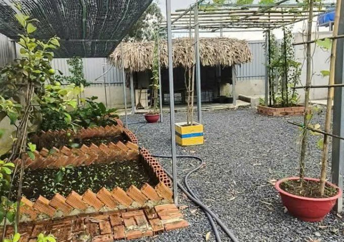 CHÍNH CHỦ BÁN VƯỜN CÂY ĂN TRÁI NGHỈ DƯỠNG – THỚI TAM THÔN, HÓC MÔN