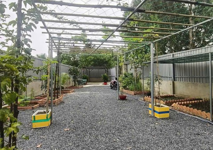 CHÍNH CHỦ BÁN VƯỜN CÂY ĂN TRÁI NGHỈ DƯỠNG – THỚI TAM THÔN, HÓC MÔN