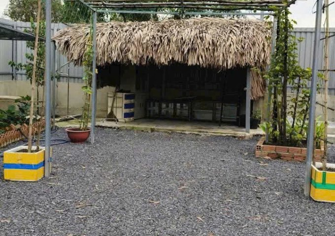 CHÍNH CHỦ BÁN VƯỜN CÂY ĂN TRÁI NGHỈ DƯỠNG – THỚI TAM THÔN, HÓC MÔN