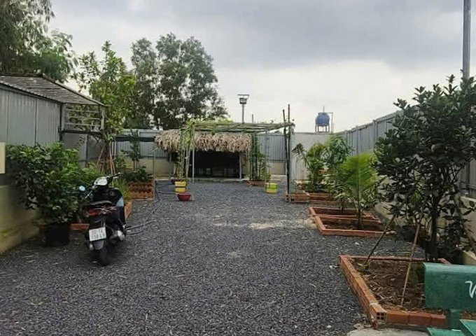 CHÍNH CHỦ BÁN VƯỜN CÂY ĂN TRÁI NGHỈ DƯỠNG – THỚI TAM THÔN, HÓC MÔN