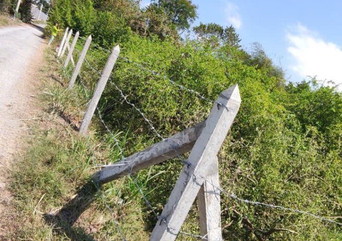 CHÍNH CHỦ BÁN ĐẤT MẶT TIỀN ĐƯỜNG NGUYỄN THÌN – XÃ BÌNH ÂN, GÒ CÔNG ĐÔNG