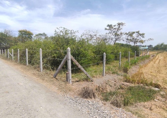 CHÍNH CHỦ BÁN ĐẤT MẶT TIỀN ĐƯỜNG NGUYỄN THÌN – XÃ BÌNH ÂN, GÒ CÔNG ĐÔNG