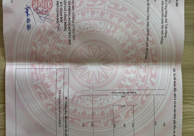 CHÍNH CHỦ BÁN ĐẤT MẶT TIỀN ĐƯỜNG NGUYỄN THÌN – XÃ BÌNH ÂN, GÒ CÔNG ĐÔNG