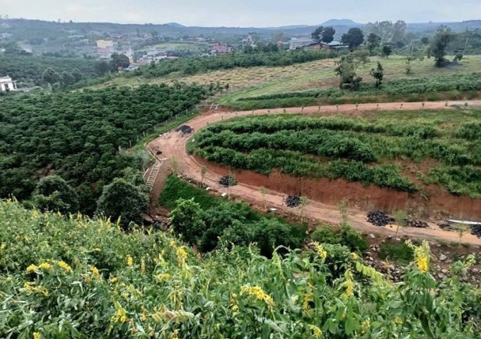 (CHÍNH CHỦ) TUYỆT PHẨM ĐẤT SINH THÁI LÂM ĐỒNG – 2 MẶT TIỀN – SUỐI TỰ NHIÊN