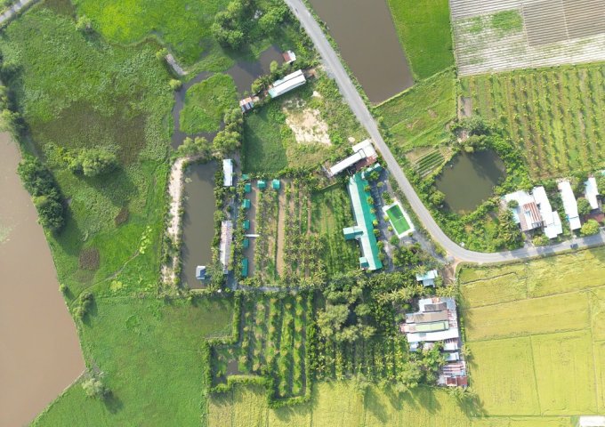 CHO THUÊ QUÁN ĂN- QUÁN CAFFE LONG HƯNG QUÁN